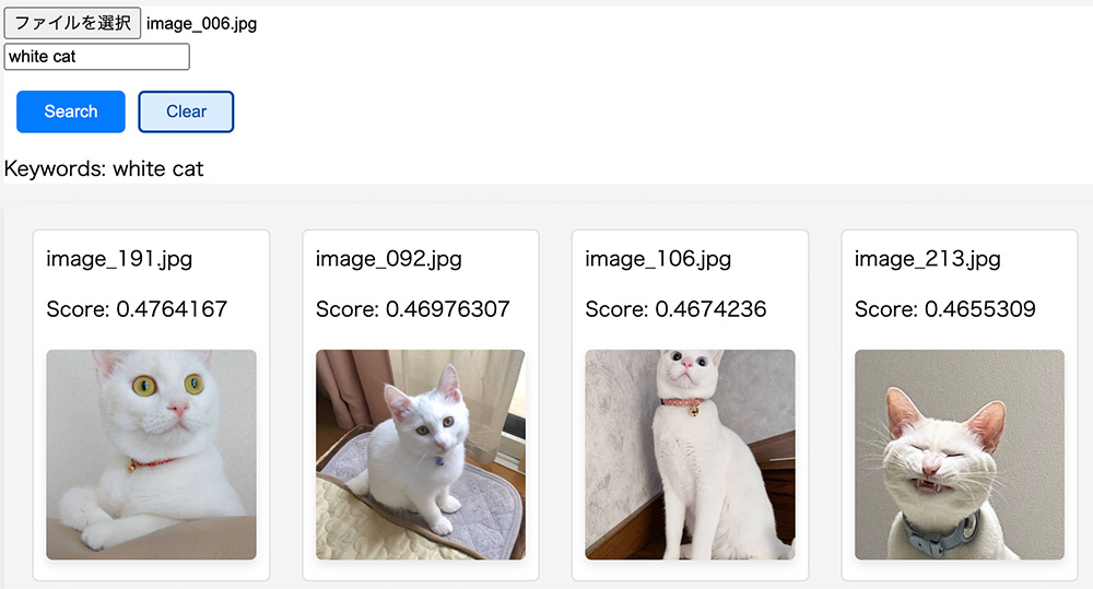 Nyantech であの猫のこんな写真を見つけたい ~ マルチモーダル